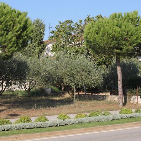 Apartments And Rooms With Parking Space Rovinj - 7170 外观 照片