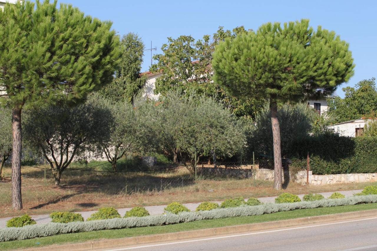 Apartments And Rooms With Parking Space Rovinj - 7170 外观 照片